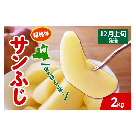 ふるさと納税 りんご 青森県 五所川原市 2025年12月上旬発送 りんご サンふじ 約 2kg 規格外 程度 青森 五所川原 不揃い サン ふじ りんご規格外 12月上旬発…