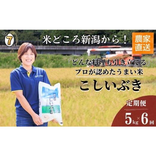 ふるさと納税 米 新潟県 糸魚川市 2025年11月初回発送 令和7年産新米 定期便 プロが認めたうまい米『こしいぶき』5kg×6回 計30kg 新潟県糸魚川産 農家直送 2…