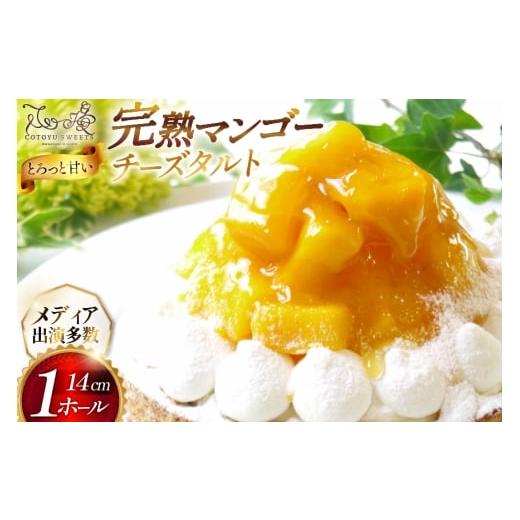 ふるさと納税 ケーキ・カステラ タルト 長崎県 平戸市 完熟 マンゴー チーズ タルト 1ホール 14cm 心優-Cotoyu Sweets- 長崎県 平戸市 hr42bgy420037 トロピカ…