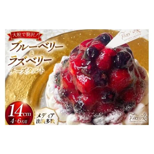 ふるさと納税 ケーキ・カステラ チーズケーキ 長崎県 平戸市 フルーツ ブルーベリー ラズベリー チーズ タルト 1ホール 14cm 心優-Cotoyu Sweets- 長崎県 平戸…