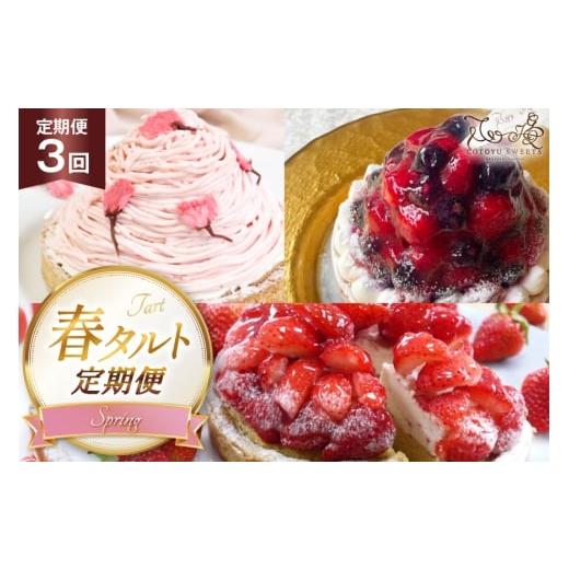 ふるさと納税 ケーキ・カステラ タルト 長崎県 平戸市 いちご ケーキ 春 タルト 3種 1ホール 14cm 3回 定期便 総計3ホール 心優-Cotoyu Sweets- 長崎県 平戸市…
