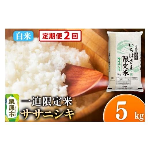 ふるさと納税 米 ササニシキ 宮城県 栗原市 [定期便2回] 白米 令和7年産 一迫限定米 ササニシキ 5kg