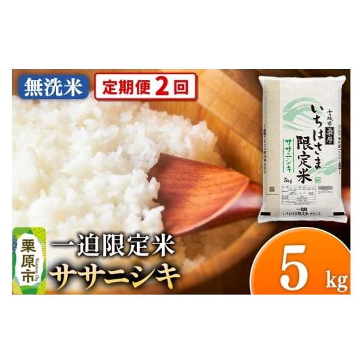 ふるさと納税 米 ササニシキ 宮城県 栗原市 [定期便2回] 無洗米 令和7年産 一迫限定米 ササニシキ 5kg