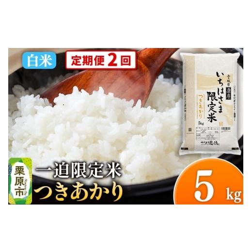 ふるさと納税 米 宮城県 栗原市 [定期便2回] 白米 令和7年産 一迫限定米 つきあかり 5kg