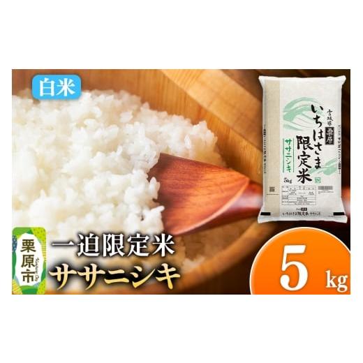 ふるさと納税 米 ササニシキ 宮城県 栗原市 白米 令和7年産 一迫限定米 ササニシキ 5kg