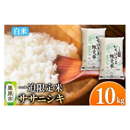 ふるさと納税 米 ササニシキ 宮城県 栗原市 白米 令和7年産 一迫限定米 ササニシキ 10kg(5kg×2袋)