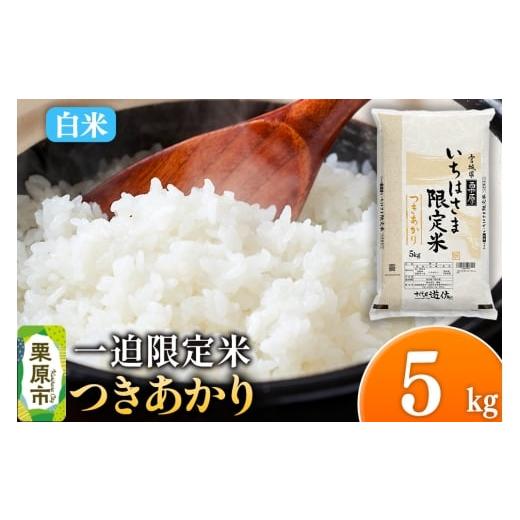 ふるさと納税 米 宮城県 栗原市 白米 令和7年産 一迫限定米 つきあかり 5kg