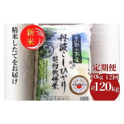ふるさと納税 米 コシヒカリ 京都府 亀岡市 初回5営業日以内に発送 12月末まで 毎月1回お届け 定期便 令和7年産 新米 京都丹波米 こしひかり10kg×12回 計120…