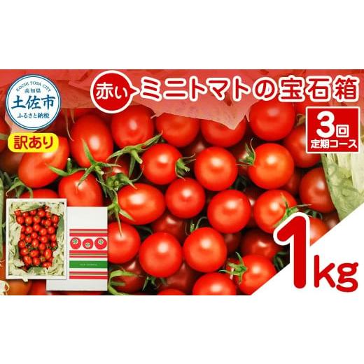 ふるさと納税 野菜類 トマト 高知県 土佐市 訳あり 赤いミニトマトの宝石箱 約1kg 約1キロ 3回定期便 トマト とまと ミックス 詰め合わせ セット 野菜 料理 サ…