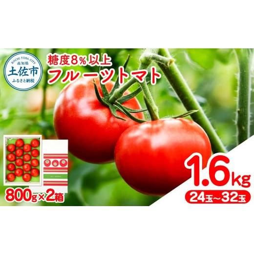 ふるさと納税 野菜類 トマト 高知県 土佐市 フルーツトマト 約1.6kg(約800g×2) 24~32玉入り 糖度 8度以上 フルーツトマト ふるーつとまと とまと トマト 甘い…