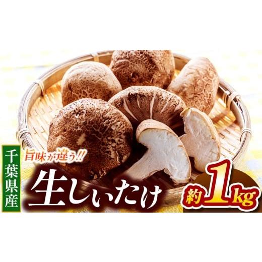 ふるさと納税 野菜類 きのこ 千葉県 君津市 生シイタケ 約1kg | 君津生キクラゲ販売所 農薬(化学肥料):栽培期間中不使用 野菜 きのこ キノコ 椎茸 しいたけ…