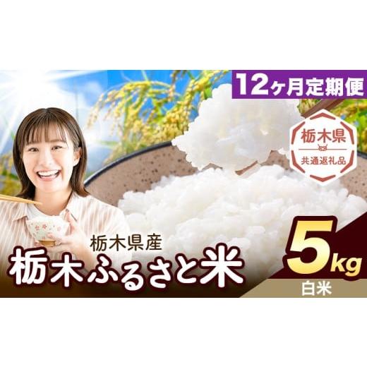 ふるさと納税 米 栃木県 野木町 12ヶ月定期便 米 栃木 ふるさと米 白米 5kg[定期は翌々月より出荷開始]栃木県 野木町 米 白米 精米 国産 お米 おこめ お弁…