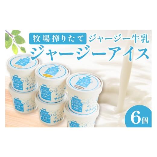 ふるさと納税 菓子 アイス 京都府 京丹後市 12月発送:丹後ジャージー牧場直送 搾りたてジャージー牛乳から作る濃厚ミルクのジャージーアイス6個セット 食べ比…