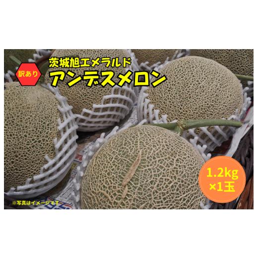 ふるさと納税 メロン メロン青肉 茨城県 鉾田市 訳あり アンデスメロン 1玉(1.2kg×1)茨城旭エメラルド