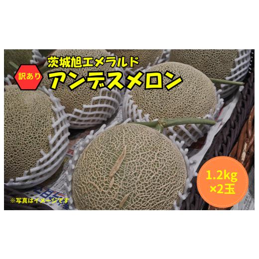 ふるさと納税 メロン メロン青肉 茨城県 鉾田市 訳あり アンデスメロン 2玉(1.2kg×2)茨城旭エメラルド