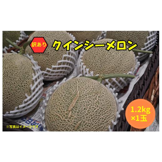 ふるさと納税 メロン メロン青肉 茨城県 鉾田市 訳あり クインシーメロン 1玉(1.2kg×1)