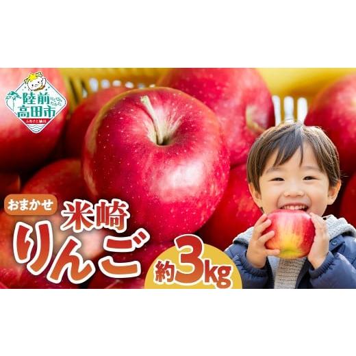 ふるさと納税 りんご 岩手県 陸前高田市 米崎 りんご 3kg 品種おまかせ 数量限定 リンゴ 林檎 りんご 9月 10月 11月 12月 青林 王林 ジョナゴールド シナノ…