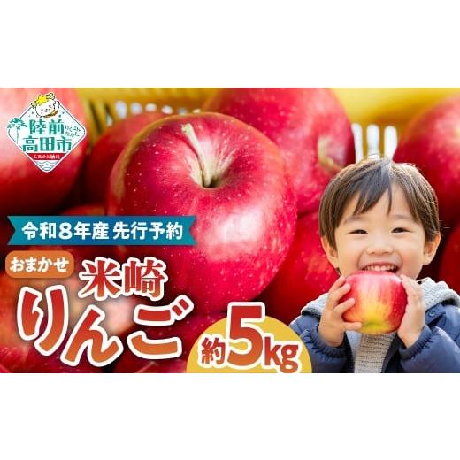 ふるさと納税 りんご 岩手県 陸前高田市 2026年発送先行予約 米崎 りんご 5kg 品種おまかせ 数量限定 リンゴ 林檎 りんご 9月 10月 11月 12月 青林 王林 ジョ…