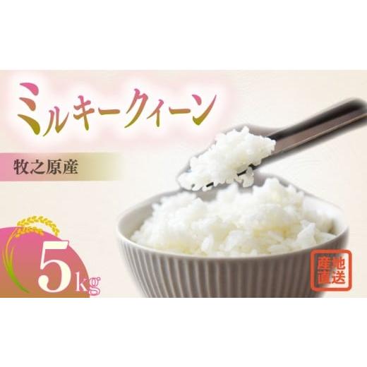 ふるさと納税 米 ミルキークイーン 静岡県 牧之原市 ミルキークイーン 5kg お米 米 白米 おこめ こめ 精米 ご飯ごはん おいしい 国産 日用品 日常 便利 甘い …