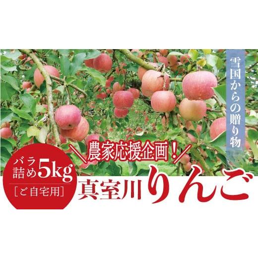 ふるさと納税 りんご 山形県 真室川町 農家応援企画 真室川りんご バラ詰め5kg[ご自宅用]