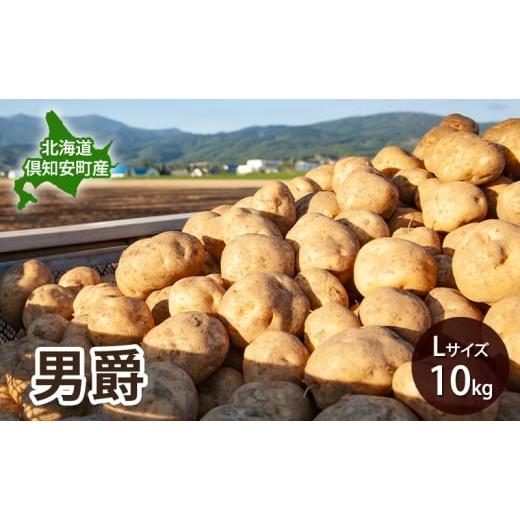 ふるさと納税 野菜類 じゃがいも 北海道 倶知安町 北海道 倶知安 産 じゃがいも 男爵 L サイズ 10kg 馬鈴薯 いも 芋 グリーンアースファーム 農家 直送 野菜 …