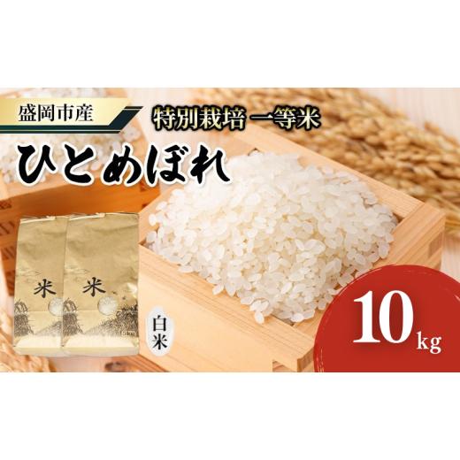 ふるさと納税 米 ひとめぼれ 岩手県 盛岡市 盛岡 大櫻農園 「ひとめぼれ 白米」10kg 特別栽培 一等米 2025年産新米 お米 精米 白米 こめ コメ おこめ ごはん …