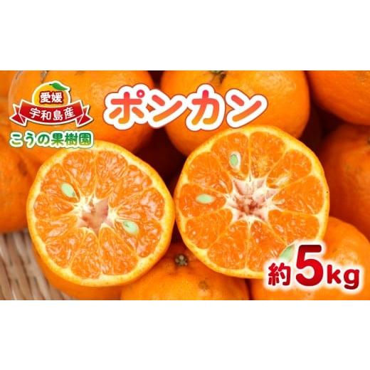 ふるさと納税 果物類 みかん 愛媛県 宇和島市 ポンカン 5kg こうの果樹園 愛媛みかん 愛媛蜜柑 愛媛ミカン 蜜柑 みかん mikan 先行予約 果物 くだもの フルー…