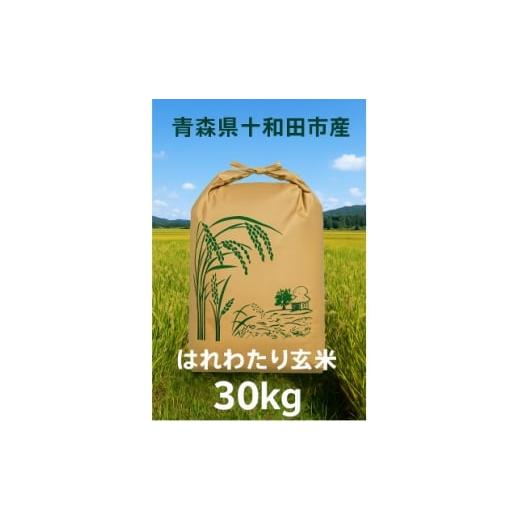 ふるさと納税 玄米 青森県 十和田市 令和7年産 はれわたり30kg(玄米) 1680302