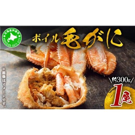 ふるさと納税 カニ 毛ガニ 北海道 伊達市 5525-0779 北海道 噴火湾産 冷凍 ボイル 毛がに 約300g×1尾 約300g×1尾
