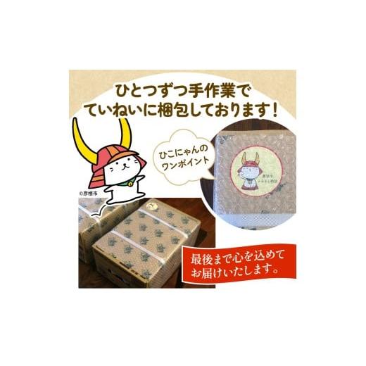 ふるさと納税 飲料類 乳飲料 滋賀県 彦根市 キリン iMUSE イミューズ ヨーグルトテイスト 3ヵ月定期便 500ml × 24本 ペットボトル ペット PET 乳酸菌飲料 乳…の画像