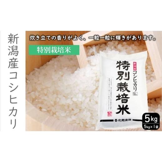 ふるさと納税 米 コシヒカリ 新潟県 新潟市 特別栽培米新潟産コシヒカリ5kg 米 お米 こめ コメ ごはん 新潟 白米 コシヒカリ ブランド米 銘柄米 お取り寄せ 産…