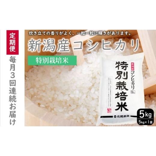 ふるさと納税 米 コシヒカリ 新潟県 新潟市 特別栽培米新潟産コシヒカリ5kg 毎月3回連続でお届けします。 米 お米 こめ コメ ごはん 新潟 白米 コシヒカリ ブ…