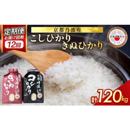 ふるさと納税 米 コシヒカリ 京都府 亀岡市 4月発送 定期便 令和7年産 京都丹波米10kg (こしひかり5kg・きぬひかり5kg) ×12回 計120kg〇12ヶ月 12回定期便 …
