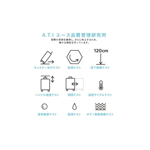 ふるさと納税 カバン 北海道 赤平市 ICICLE フレームスーツケース Middle_No.5804377 10(ブリックレッド)　旅 旅行 キャリー スーツケース かばん バッグ 国産…_7