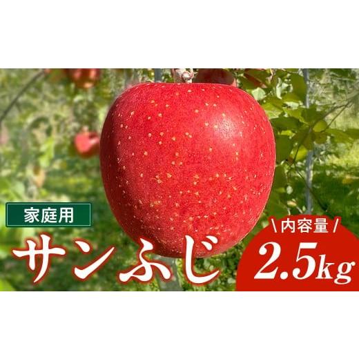 ふるさと納税 りんご 岩手県 北上市 ＼予約受付 11月下旬より発送開始予定/ サンフジ 家庭用 りんご 2.5kg 林檎 リンゴ サンふじ 国産 東北 岩手 産地直送 送…