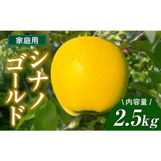 ふるさと納税 りんご 岩手県 北上市 シナノゴールド 家庭用 りんご 2.5kg 国産 東北 岩手 林檎 リンゴ 訳あり 果物 フルーツ しなの ゴールド 産地直送 送料無…