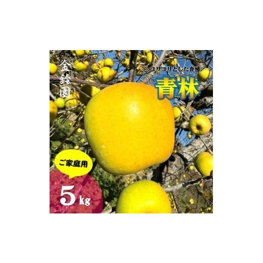 ふるさと納税 りんご 岩手県 北上市 ＼予約受付 11月下旬より発送開始予定/ 北上市産 りんご 青林 ( セイリン ) 家庭用 5キロ (約13〜20玉) 林檎 リンゴ 5kg …