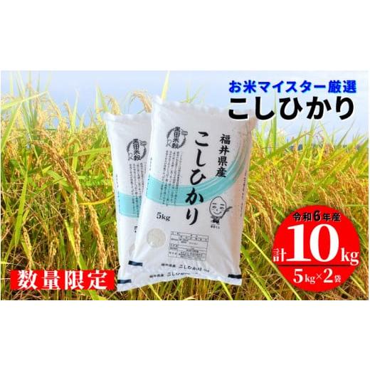 ふるさと納税 米 コシヒカリ 福井県 鯖江市 数量限定 20袋限定販売 令和6年産 コシヒカリ 10kg(5kg × 2袋) C-02016 / お米 精米 白米 こしひかり コシヒ…