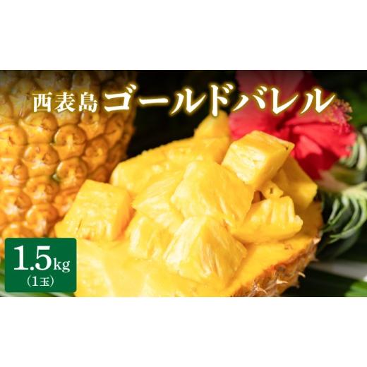 ふるさと納税 果物類 沖縄県 竹富町 高級感No.1 開発に30年・栽培に3年。パイナップルの最高峰ゴールドバレル1.5kg(1玉) 1.5kg(1玉)