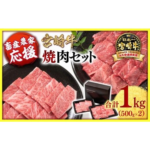 ふるさと納税 牛肉 焼肉・バーベキュー 宮崎県 西都市 2月発送 畜産農家応援 宮崎牛 赤身&肩ロース 食べ比べ焼肉セット1kg (500g ×2)4等級以上 ミヤチク…