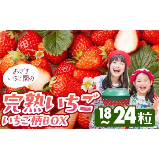 ふるさと納税 いちご 愛知県 田原市 完熟いちご 18粒〜24粒 いちご柄BOX いちご イチゴ 苺 章姫 大粒 ストロベリー ベリー ジャム いちごジャム イチゴジャム …