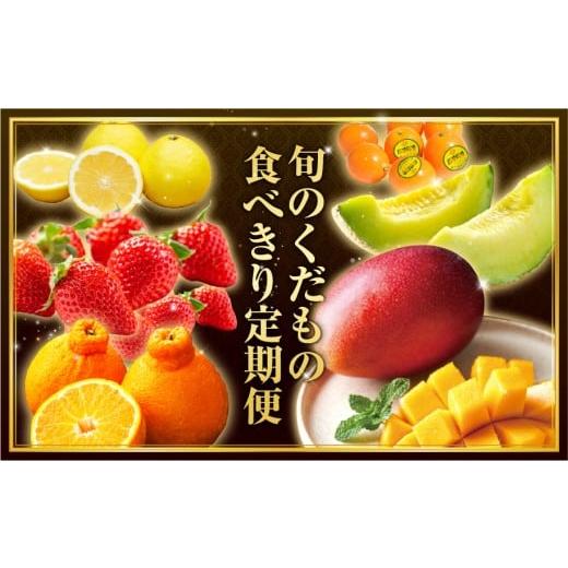 ふるさと納税 いちご 宮崎県 宮崎市 [2026年発送先行予約] 数量・期間限定 旬のくだもの食べきり定期便