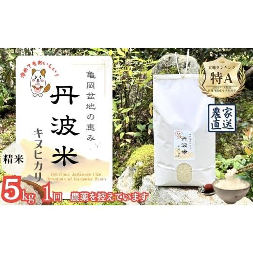 ふるさと納税 米 京都府 亀岡市 令和7年産 新米 京都丹波産 キヌヒカリ 5kg 亀岡盆地の恵み 農薬を控えています 精米したてをお届け 自家栽培米 生産農家 直…