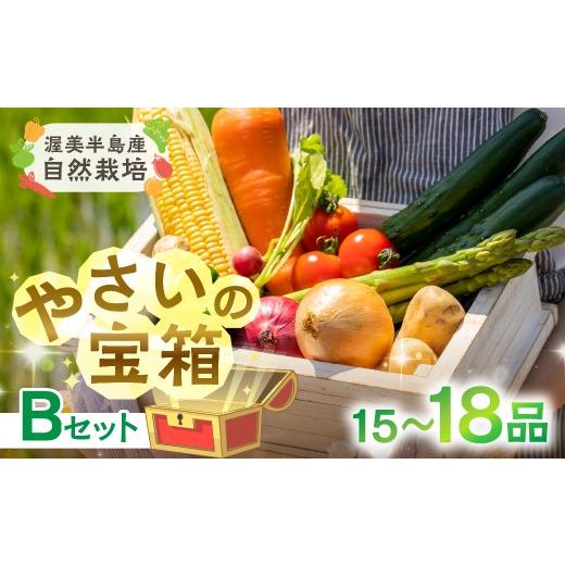 ふるさと納税 セット・詰合せ 愛知県 田原市 Bセット 渥美半島産 やさいの宝箱 選べる 品数 野菜 野菜セット 安心 安全 栽培期間中 農薬 化学肥料 不使用 自…