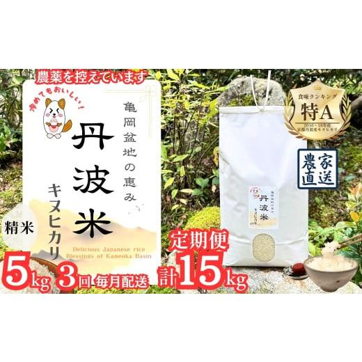 ふるさと納税 米 京都府 亀岡市 定期便 令和7年産 新米 定期便 京都丹波産 キヌヒカリ 5kg×3回 計15kg 亀岡盆地の恵み 農薬を控えています 精米したてをお届…