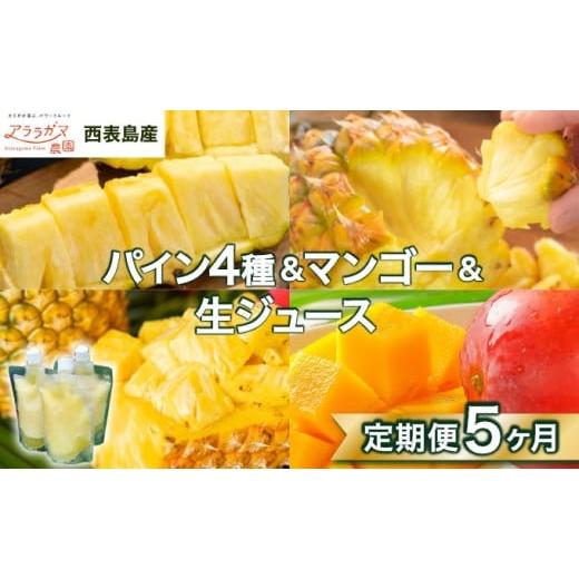 ふるさと納税 果物類 沖縄県 竹富町 リピート率No.1 パイナップル4種類&マンゴー&生ジュースを5回にわけて毎月お届け