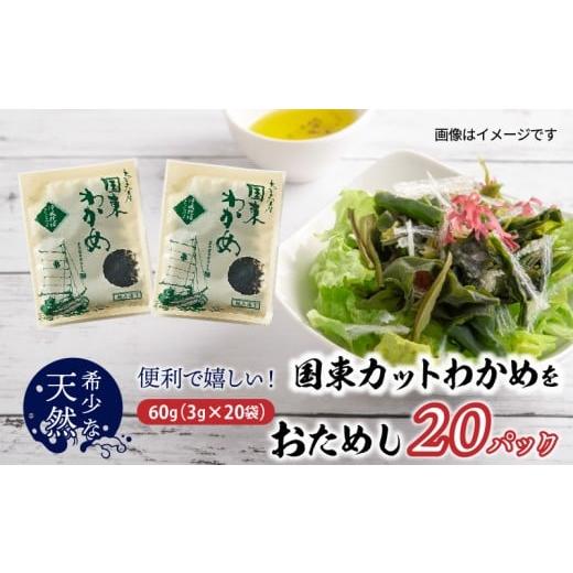 ふるさと納税 のり・海藻 大分県 国東市 便利で嬉しい 国東カットわかめをおためし20パック_0005N-3 3g×20袋(計60g) レターパックでお届け