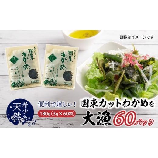 ふるさと納税 のり・海藻 大分県 国東市 便利で嬉しい 国東カットわかめを大漁60パック_0005N-2 3g×60袋(計180g)