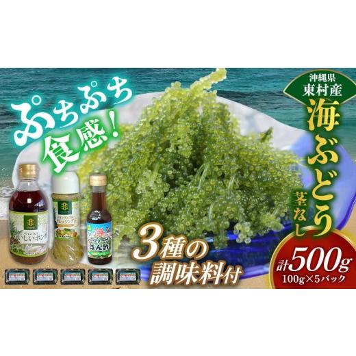 ふるさと納税 乾物 海藻 沖縄県 東村 東村を楽しむセット 海ぶどうセット（茎無）500g＆調味料3種＆オリオンサザンスター350ml×24本 海ブドウ 海ぶどう うみ…_2