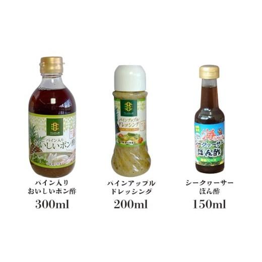 ふるさと納税 乾物 海藻 沖縄県 東村 東村を楽しむセット 海ぶどうセット（茎無）500g＆調味料3種＆ゼロライフ350ml×24本 海ブドウ 海ぶどう うみぶどう パッ…_4